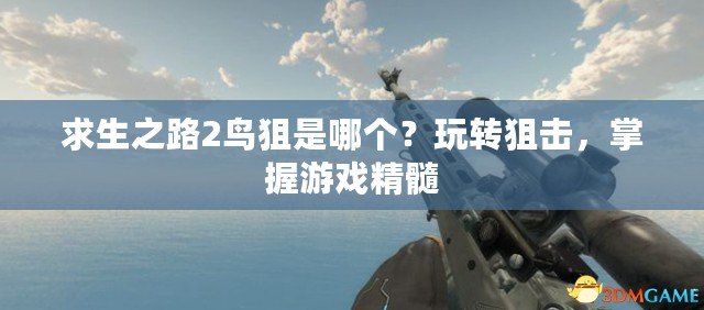 求生之路2鳥狙是哪個？玩轉(zhuǎn)狙擊，掌握游戲精髓