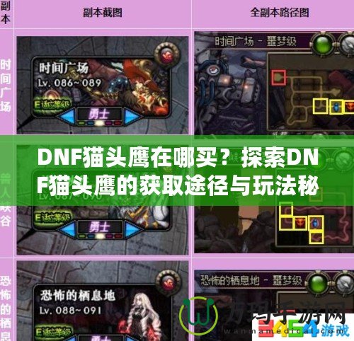 DNF貓頭鷹在哪買？探索DNF貓頭鷹的獲取途徑與玩法秘訣！