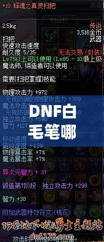 DNF白毛筆哪里爆？全面解析獲取途徑與策略