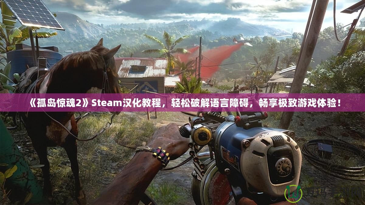 《孤島驚魂2》Steam漢化教程，輕松破解語言障礙，暢享極致游戲體驗！