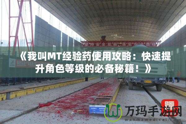 《我叫MT經(jīng)驗藥使用攻略：快速提升角色等級的必備秘籍！》