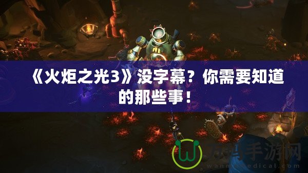 《火炬之光3》沒(méi)字幕？你需要知道的那些事！