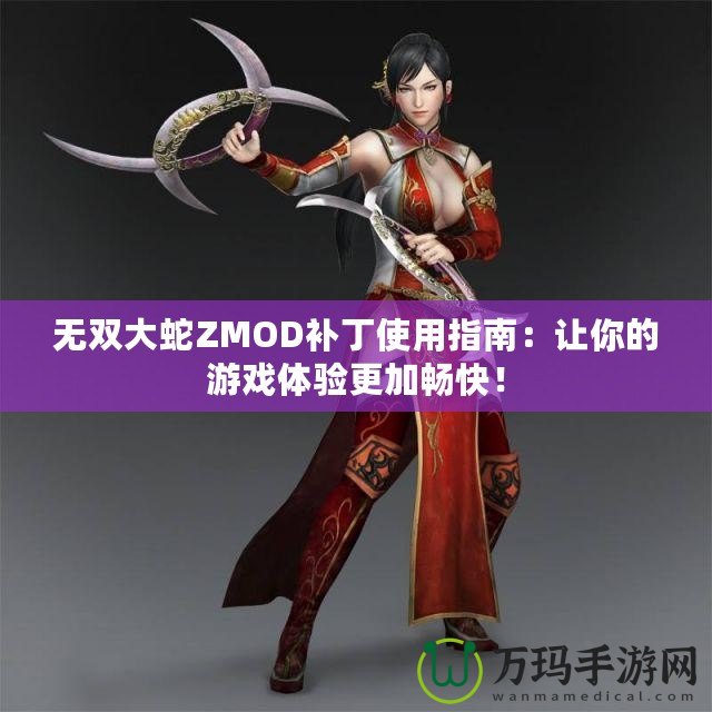 無雙大蛇ZMOD補丁使用指南：讓你的游戲體驗更加暢快！