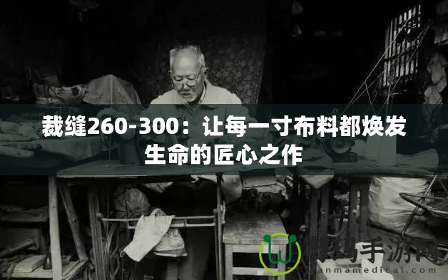 裁縫260-300：讓每一寸布料都煥發(fā)生命的匠心之作