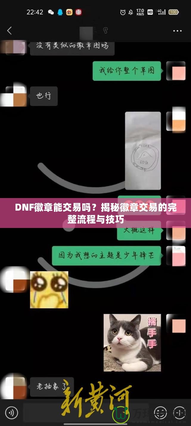 DNF徽章能交易嗎？揭秘徽章交易的完整流程與技巧