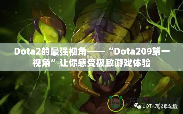 Dota2的最強(qiáng)視角——“Dota209第一視角”讓你感受極致游戲體驗(yàn)