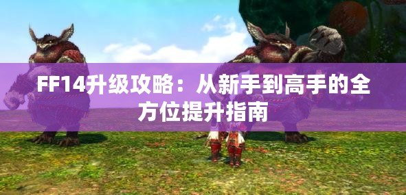 FF14升級(jí)攻略：從新手到高手的全方位提升指南