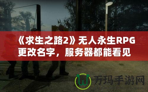 《求生之路2》無人永生RPG更改名字，服務(wù)器都能看見嗎？