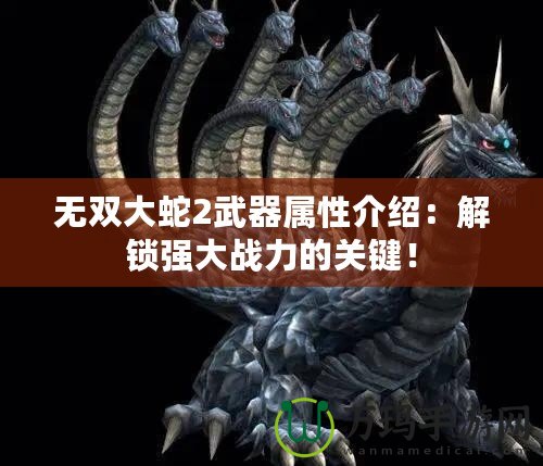 無雙大蛇2武器屬性介紹：解鎖強大戰(zhàn)力的關(guān)鍵！