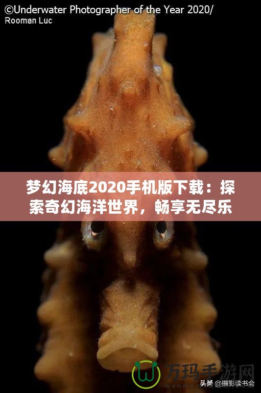 夢(mèng)幻海底2020手機(jī)版下載：探索奇幻海洋世界，暢享無盡樂趣