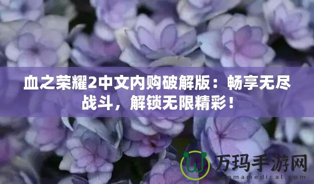 血之榮耀2中文內(nèi)購破解版：暢享無盡戰(zhàn)斗，解鎖無限精彩！