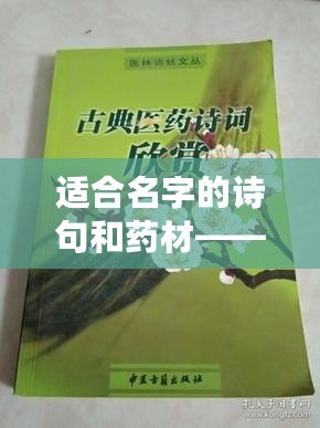 適合名字的詩句和藥材——詩意與草本的完美融合