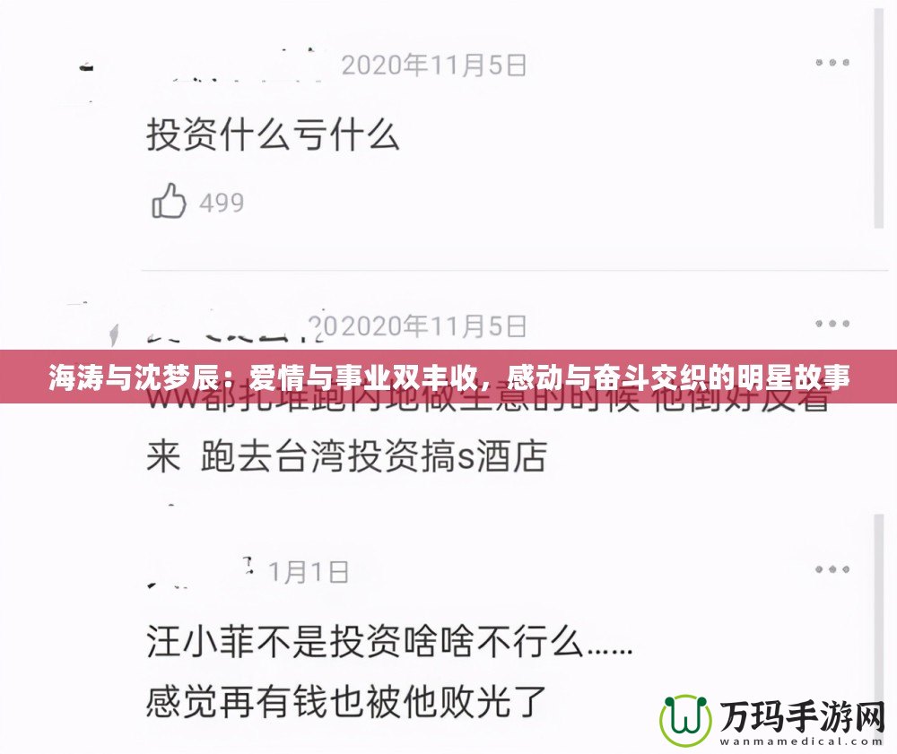 海濤與沈夢辰：愛情與事業(yè)雙豐收，感動與奮斗交織的明星故事