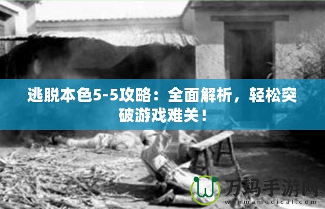 逃脫本色5-5攻略：全面解析，輕松突破游戲難關(guān)！