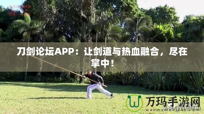 刀劍論壇APP：讓劍道與熱血融合，盡在掌中！