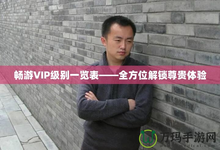 暢游VIP級別一覽表——全方位解鎖尊貴體驗(yàn)