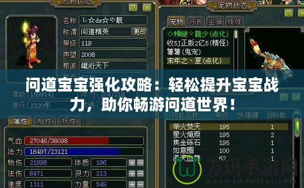 問(wèn)道寶寶強(qiáng)化攻略：輕松提升寶寶戰(zhàn)力，助你暢游問(wèn)道世界！