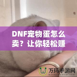 DNF寵物蛋怎么賣？讓你輕松賺取豐厚收益的實用技巧