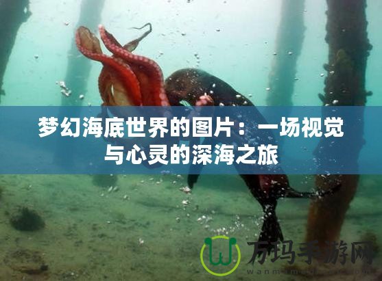 夢幻海底世界的圖片：一場視覺與心靈的深海之旅