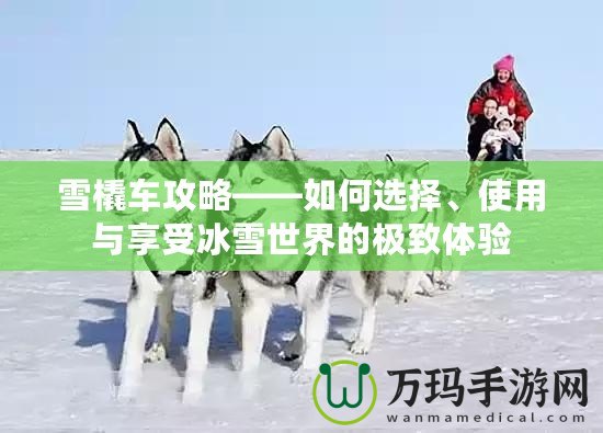 雪橇車攻略——如何選擇、使用與享受冰雪世界的極致體驗(yàn)