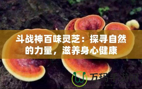 斗戰(zhàn)神百味靈芝：探尋自然的力量，滋養(yǎng)身心健康