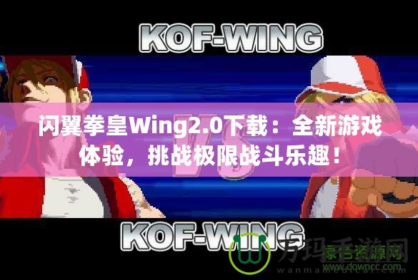 閃翼拳皇Wing2.0下載：全新游戲體驗(yàn)，挑戰(zhàn)極限戰(zhàn)斗樂趣！