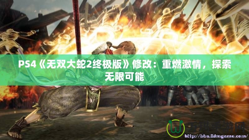 PS4《無(wú)雙大蛇2終極版》修改：重燃激情，探索無(wú)限可能