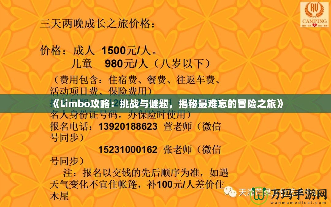 《Limbo攻略：挑戰(zhàn)與謎題，揭秘最難忘的冒險(xiǎn)之旅》