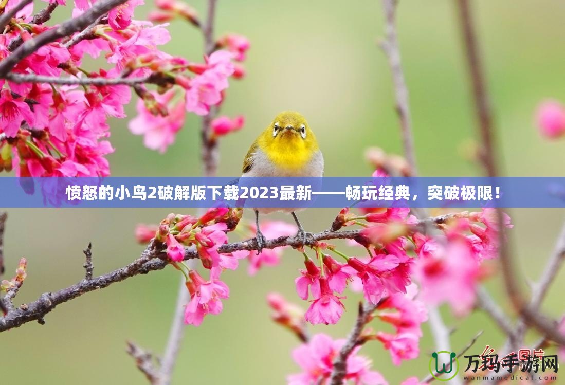 憤怒的小鳥(niǎo)2破解版下載2023最新——暢玩經(jīng)典，突破極限！