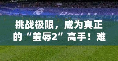 挑戰(zhàn)極限，成為真正的“羞辱2”高手！難度選擇解析與游戲技巧指南