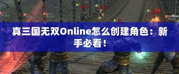 真三國無雙Online怎么創(chuàng)建角色：新手必看！