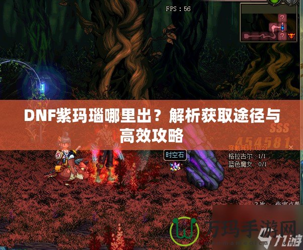 DNF紫瑪瑙哪里出？解析獲取途徑與高效攻略