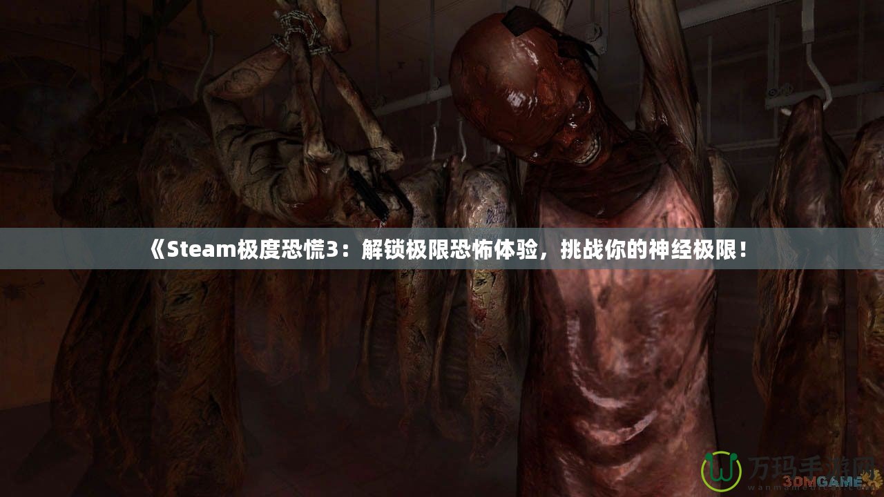 《Steam極度恐慌3：解鎖極限恐怖體驗(yàn)，挑戰(zhàn)你的神經(jīng)極限！