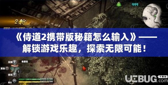 《侍道2攜帶版秘籍怎么輸入》——解鎖游戲樂趣，探索無限可能！