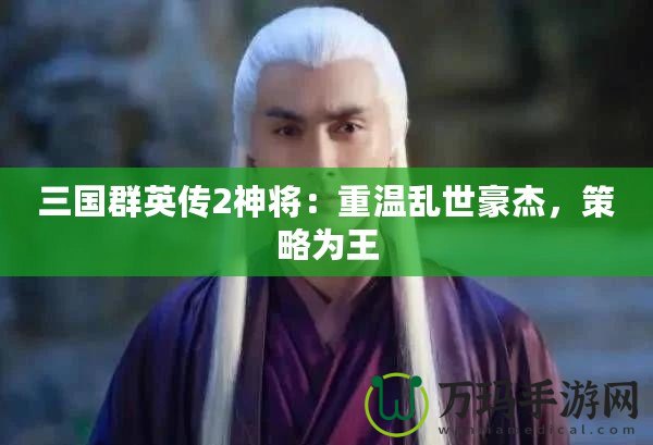 三國(guó)群英傳2神將：重溫亂世豪杰，策略為王