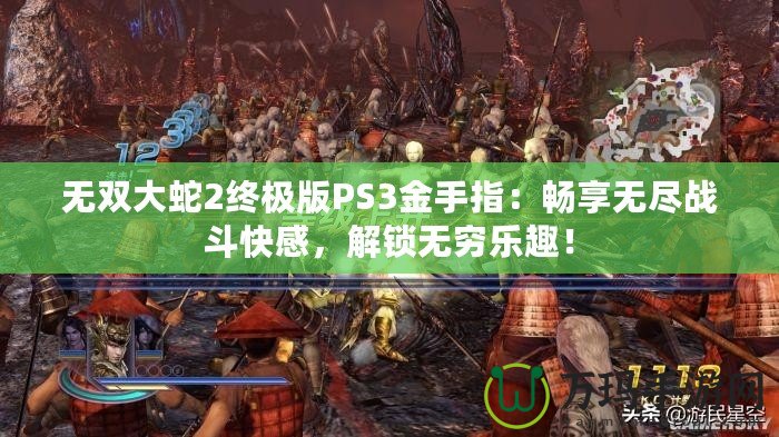 無雙大蛇2終極版PS3金手指：暢享無盡戰(zhàn)斗快感，解鎖無窮樂趣！