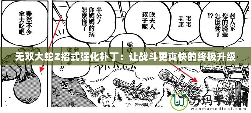 無雙大蛇Z招式強化補丁：讓戰(zhàn)斗更爽快的終極升級