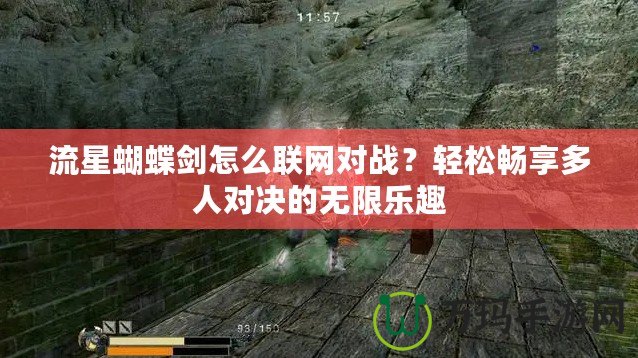 流星蝴蝶劍怎么聯(lián)網(wǎng)對(duì)戰(zhàn)？輕松暢享多人對(duì)決的無(wú)限樂(lè)趣