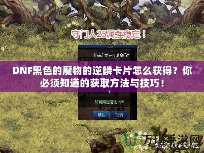 DNF黑色的魔物的逆鱗卡片怎么獲得？你必須知道的獲取方法與技巧！