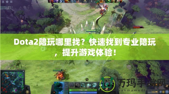 Dota2陪玩哪里找？快速找到專(zhuān)業(yè)陪玩，提升游戲體驗(yàn)！