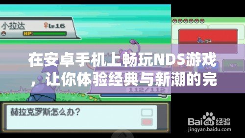 在安卓手機上暢玩NDS游戲，讓你體驗經(jīng)典與新潮的完美結(jié)合