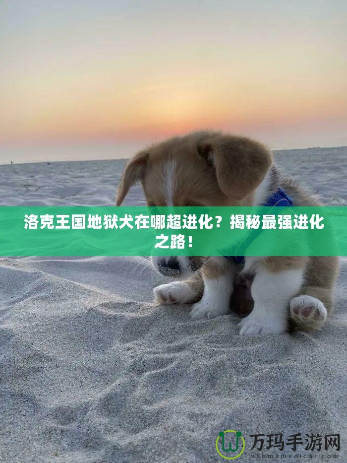 洛克王國(guó)地獄犬在哪超進(jìn)化？揭秘最強(qiáng)進(jìn)化之路！