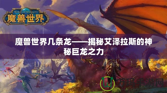 魔獸世界幾條龍——揭秘艾澤拉斯的神秘巨龍之力