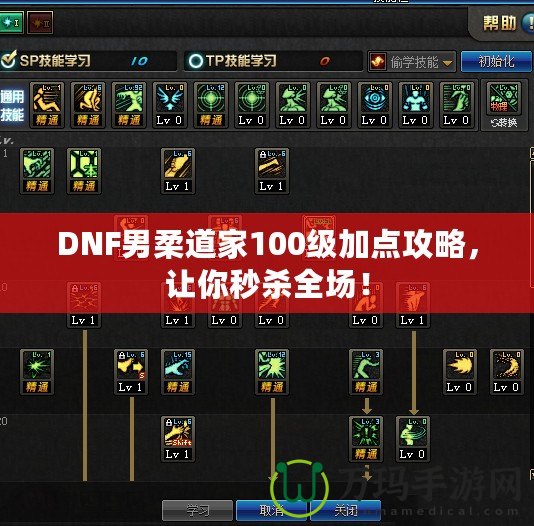 DNF男柔道家100級加點攻略，讓你秒殺全場！