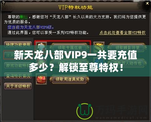 新天龍八部VIP9一共要充值多少？解鎖至尊特權(quán)！