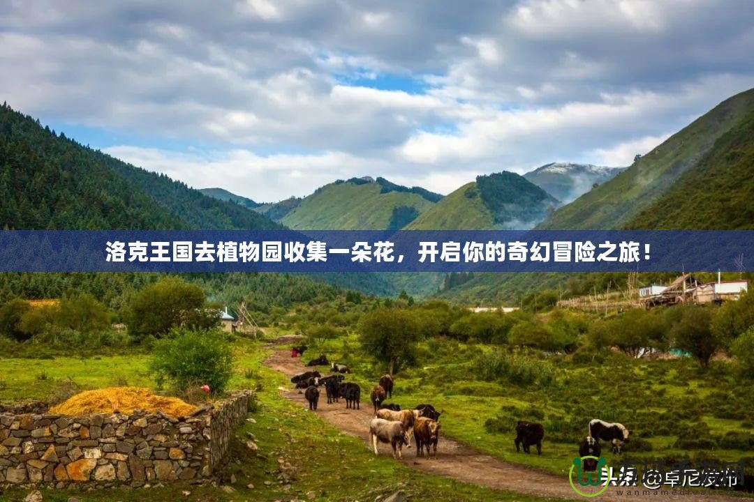 洛克王國去植物園收集一朵花，開啟你的奇幻冒險(xiǎn)之旅！