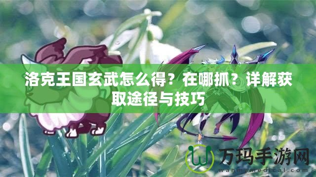 洛克王國玄武怎么得？在哪抓？詳解獲取途徑與技巧