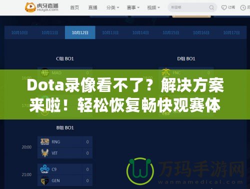 Dota錄像看不了？解決方案來(lái)啦！輕松恢復(fù)暢快觀賽體驗(yàn)