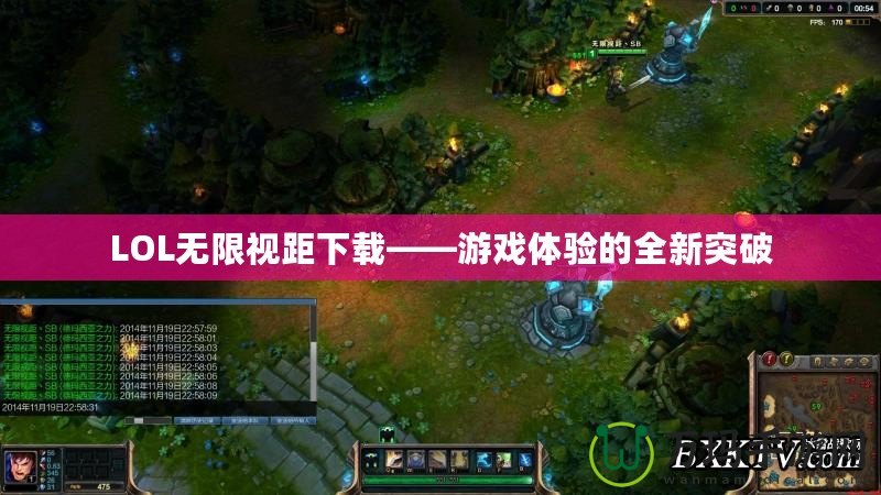 LOL無(wú)限視距下載——游戲體驗(yàn)的全新突破