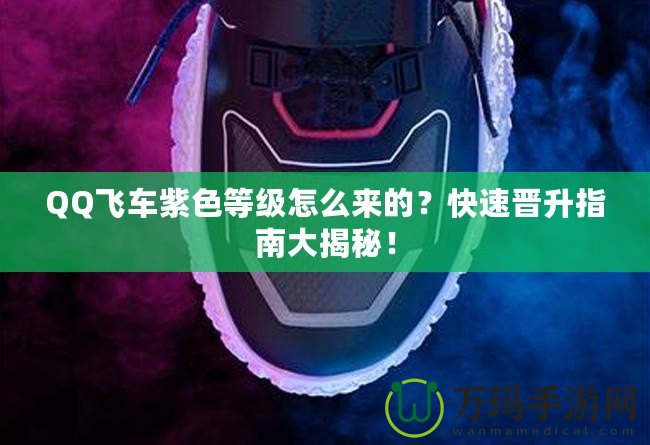 QQ飛車紫色等級(jí)怎么來(lái)的？快速晉升指南大揭秘！